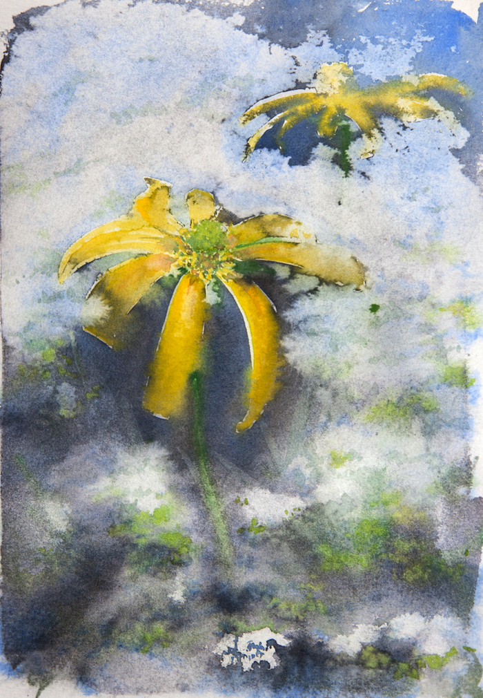 Желтые цветы