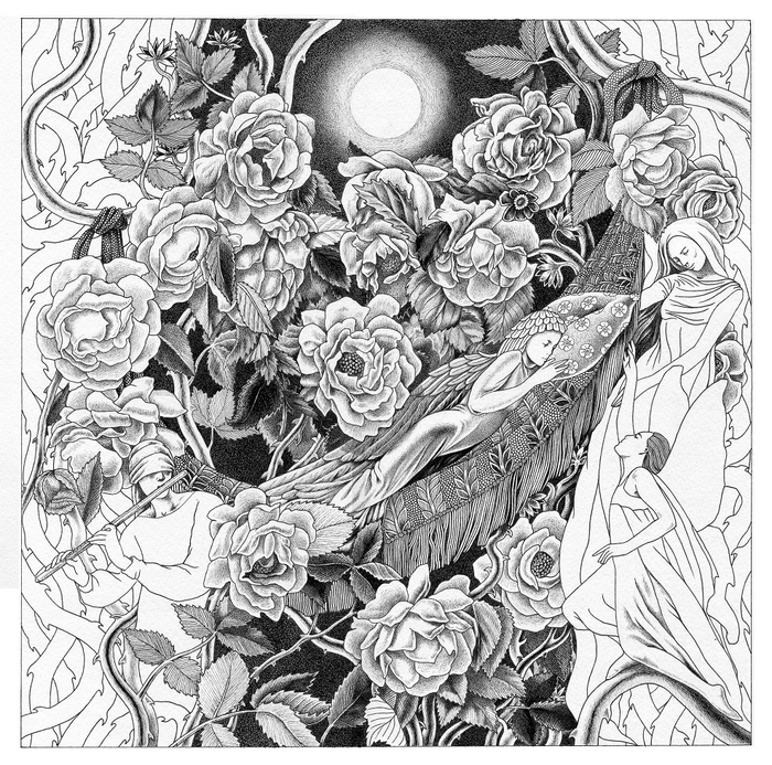 Розы. Сон в летнюю ночь