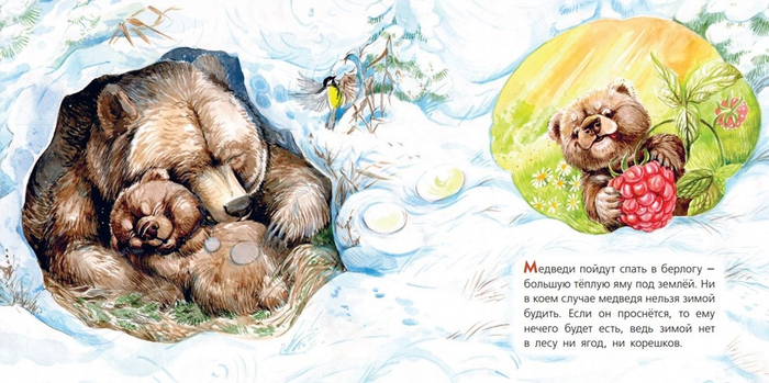 Как зимуют звери