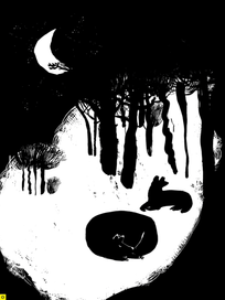 шумно падующие звёзды