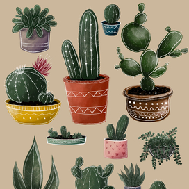 Кактусы 