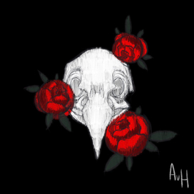 Череп птицы