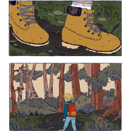 звезда на закате 