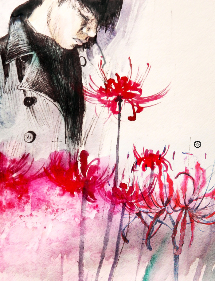 "Ликорис цветёт".