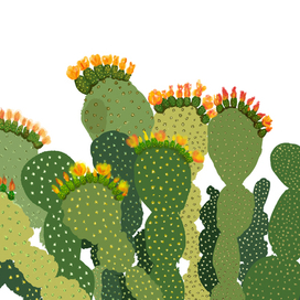 cactus