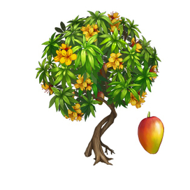 Дерево манго