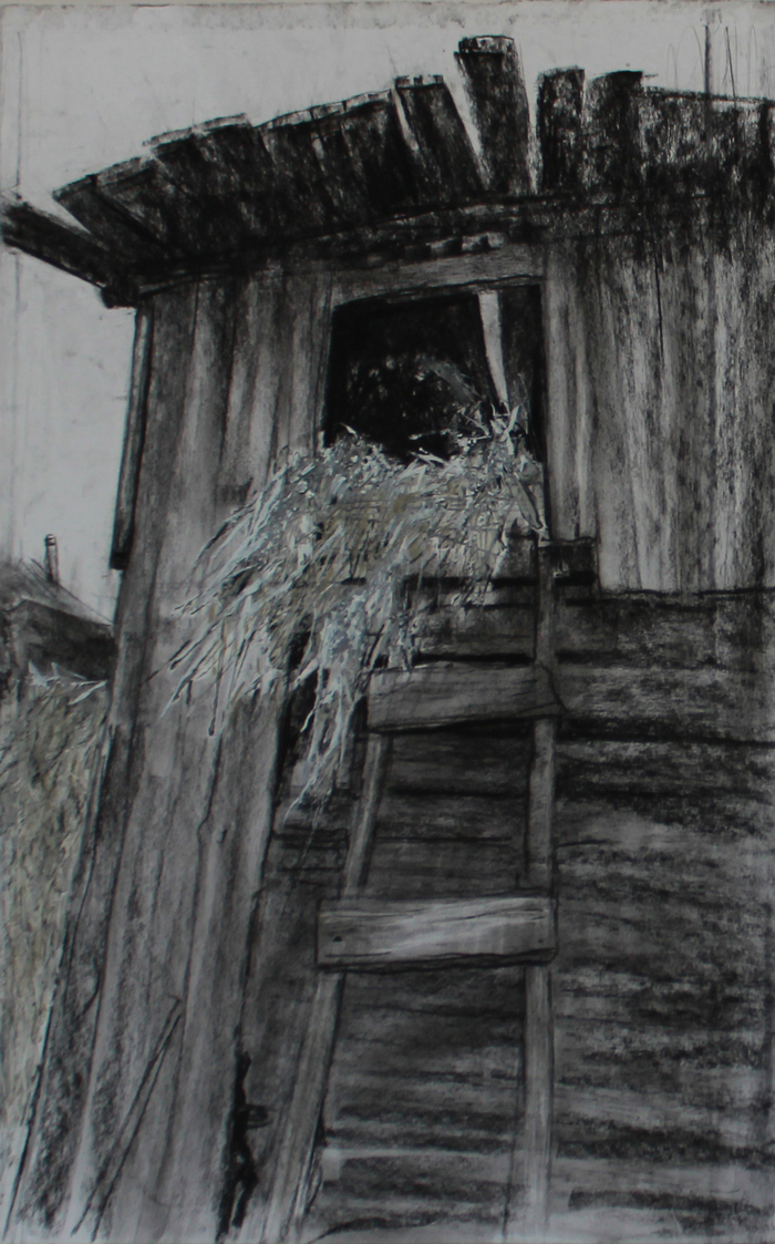 сено. в деревне. сеновал