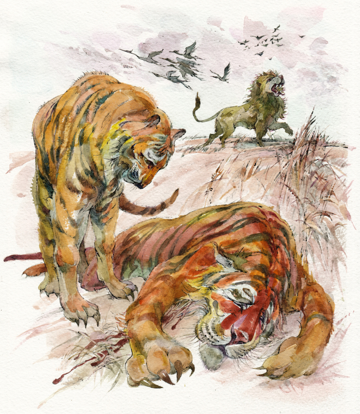 Рони Старший "Борьба за огонь"