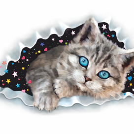 Принт на толстовку (на карман)