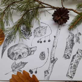 Наброски и зарисовки.