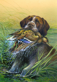 Нильс ! Подай...!!!