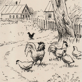 Птичья прогулка