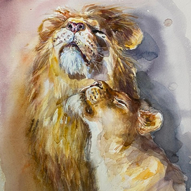 Пара львов. Любовь