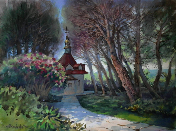 В ТЕНИ СОСЕН.