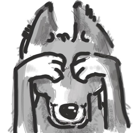 серый волчок, с удовольствием играющий в прятки