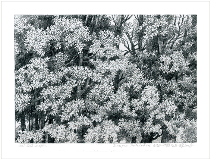 Парк Павловск-2022