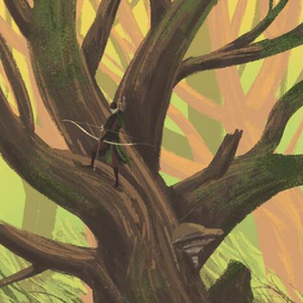 В лесу гигантских деревьев 