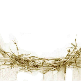 иллюстрации к сборнику "Вянок" М.Багдановiча