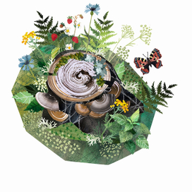 Лесной пенёк