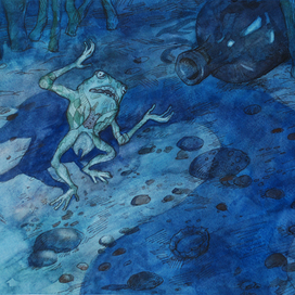 Мистер Квак