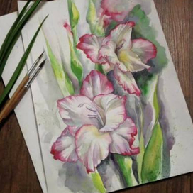 Гладиолусы