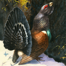 Жду весну...