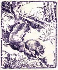 В глухих дебрях..