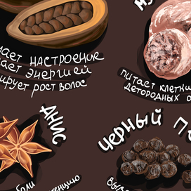 Серия иллюстраций "Польза специй и пряностей"