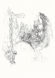 Грибной мир