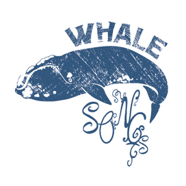 Whales 01