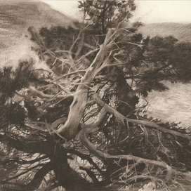 На верхнем плато Чатыр-Дага