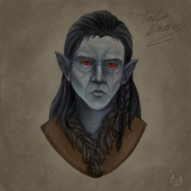 Данмер, Темный эльф, Скайрим