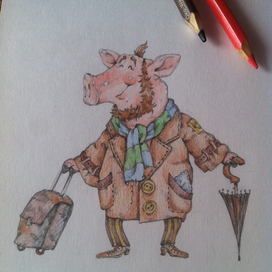 Забавный свин