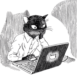 Кошачьи новости