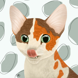 Портрет котика