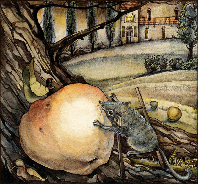 Первые яблочки