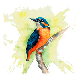 КРЫЛАТАЯ ЖИЗНЬ | Концепция книги-энциклопедии о птицах