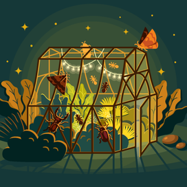 Вечерняя теплица