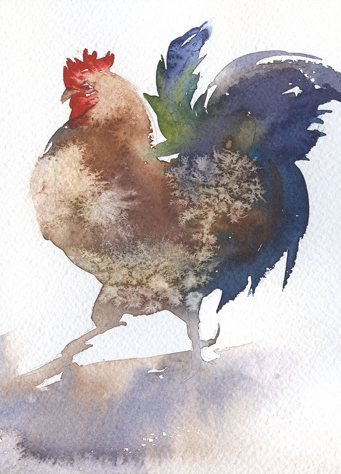 "Яркая курочка"