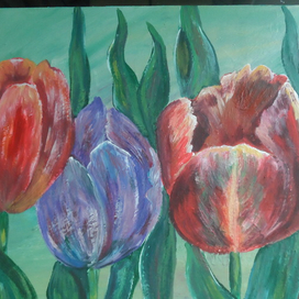 Тюльпаны