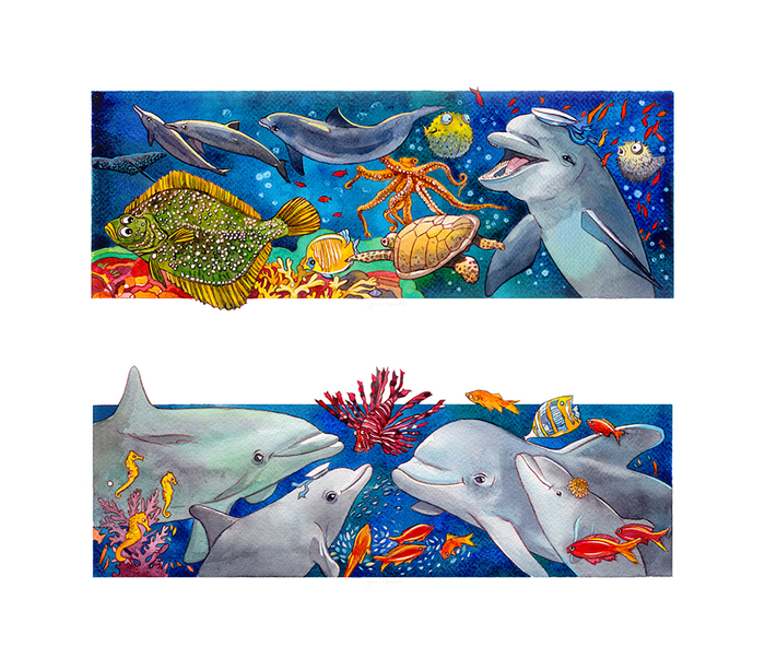 Ольга Соколова Дельфин спешит на Иордан