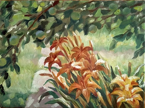 Яблочки зреют