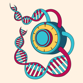 Код здоровья