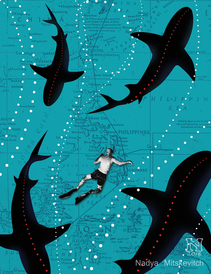 Иллюстрация к книге С.Курилова "Один в океане"