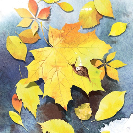 Осенние листья.