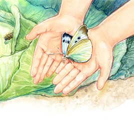 Капустница