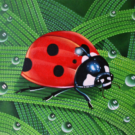 Божия коровушка