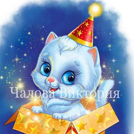 Котенок  в коробке