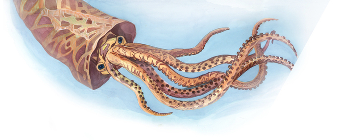 архиаптериус