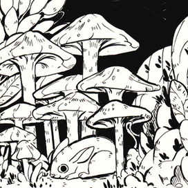 Просто стрипы2